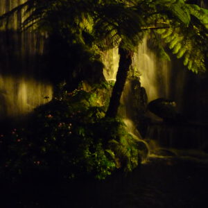 Online Seminar for Acting